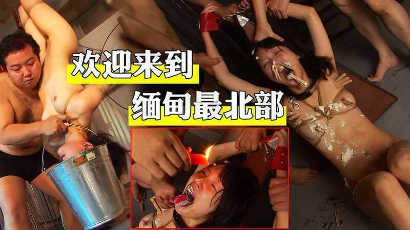血腥的惩罚 猪仔的悲惨下场