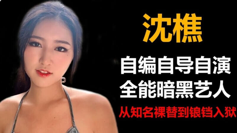 全能型暗黑艺人-沈樵，从知名裸替到锒铛入狱