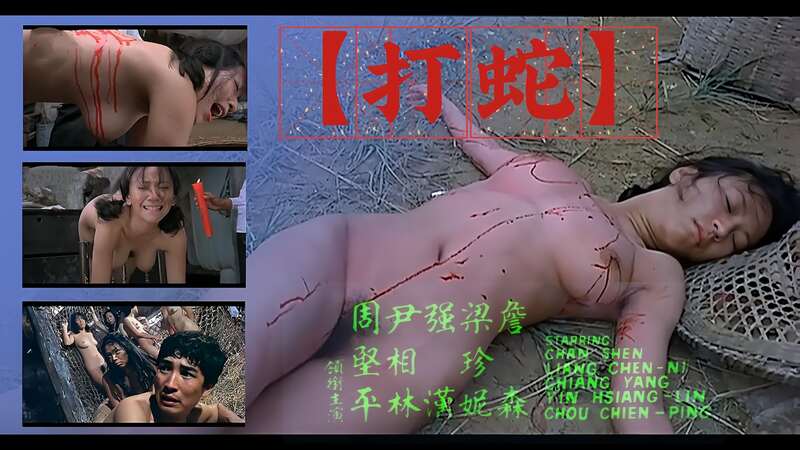 香港三级打蛇风波，性感女神诱惑缠绵。