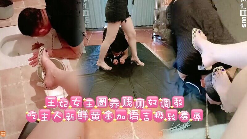 吃下我的新鲜排泄物,极致羞辱的奴隶调教