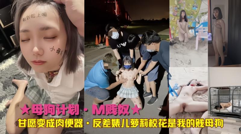 母狗调教计划大公开  甘愿被虐成肉便器