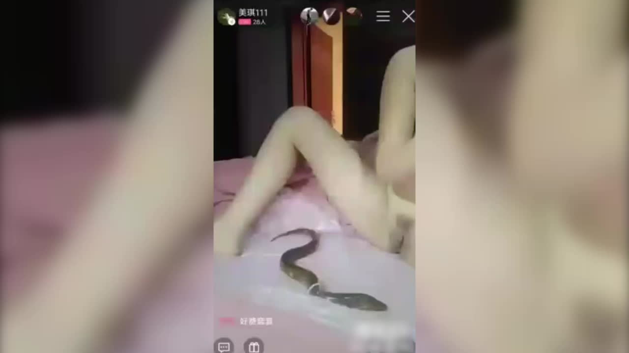 黄鳝门事件！江西美琪Q群直播，全程黑料不断，吃瓜群众震惊不已！