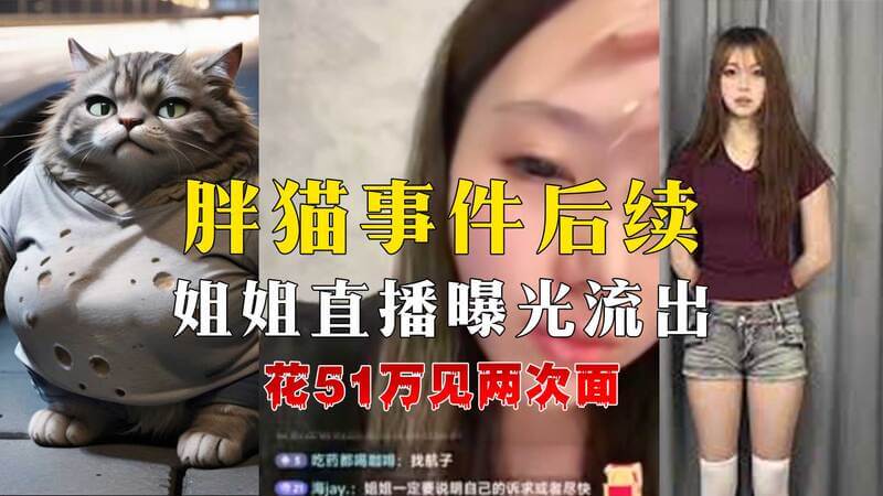 胖猫事件：姐姐直播间泪崩，揭秘黑料内幕，吃瓜群众欲罢不能！