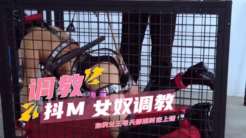 女王降临：美腿魅惑，每日调教M性奴的极乐时光