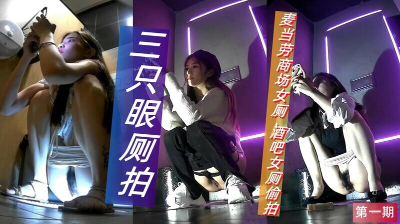 绝版厕拍流出 盛世容颜逼毛茂盛性感美女