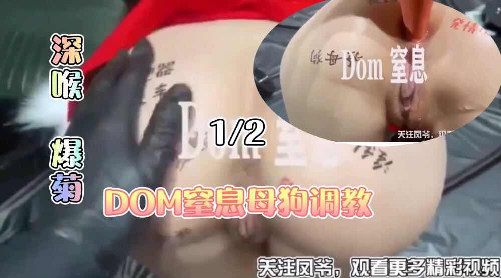 深喉与肛虐：dom窒息暴虐调教，深喉爆菊母狗淫荡献祭。