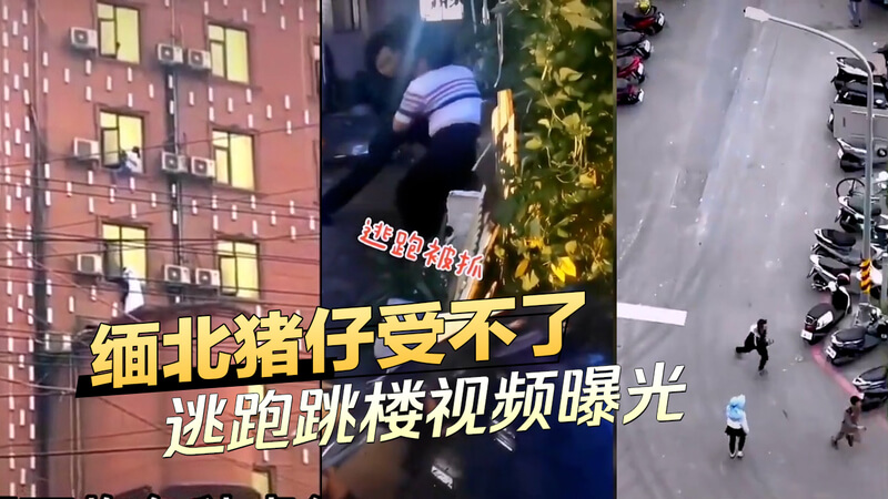 缅北血猪受不了！逃跑跳楼视频流出，惊现不堪入目的画面，涉事女子被残忍对待，引发众怒。