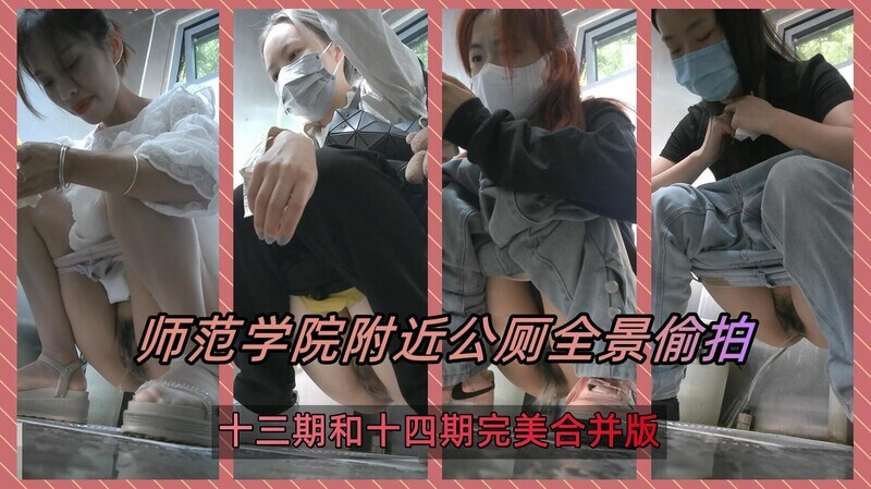真实厕拍师范学院公厕 正面全景露脸偷拍美女尿尿气质出众