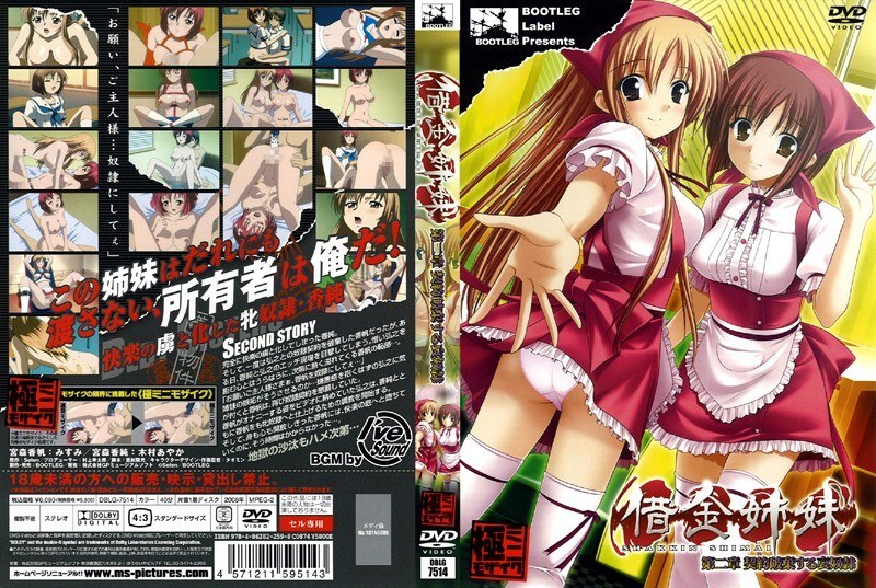 借金姊妹第二章：契约破坏下的可悲奴隶命运！中文动画里番激情上映