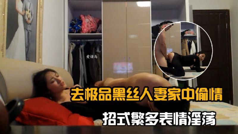 去极品黑丝人妻家中偷情,招式繁多表情淫荡