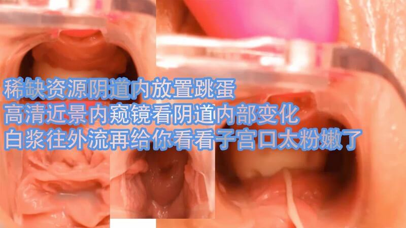 稀缺资源！高清内窥镜下看美女阴道内放置跳蛋淫水流不停