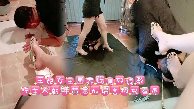 女王的厕奴调教：口服排泄物，沦为奴犬