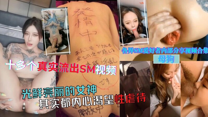 全国各地真实SM泄露 女神被玩弄，土豪母狗遭性虐性奴门