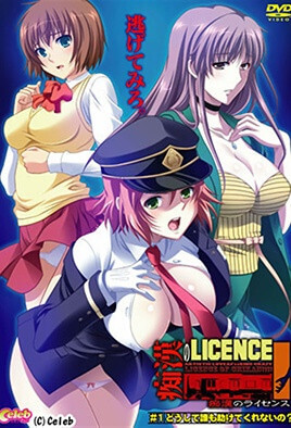 痴汉许可证——超豪华版里番动漫！巨乳美女的痴汉之旅！