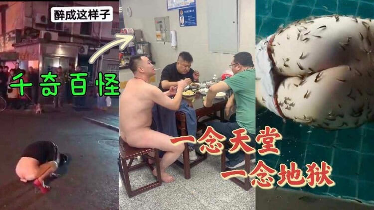 千奇百怪的大人们的私密癖好：40种令人惊叹的猎奇体验