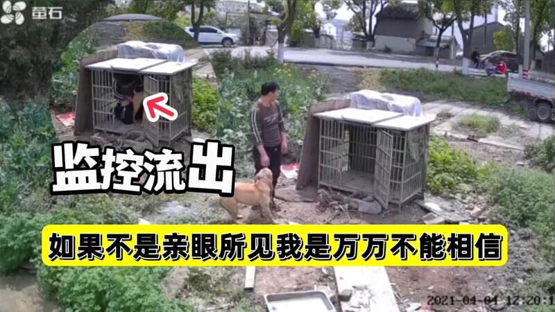 不是亲眼所见我是万万不能相信