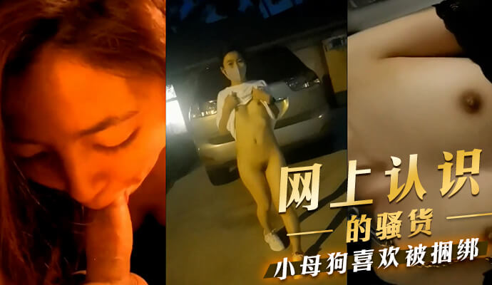 网上认识的骚货母狗，小母狗被我绑起来使劲地内射。