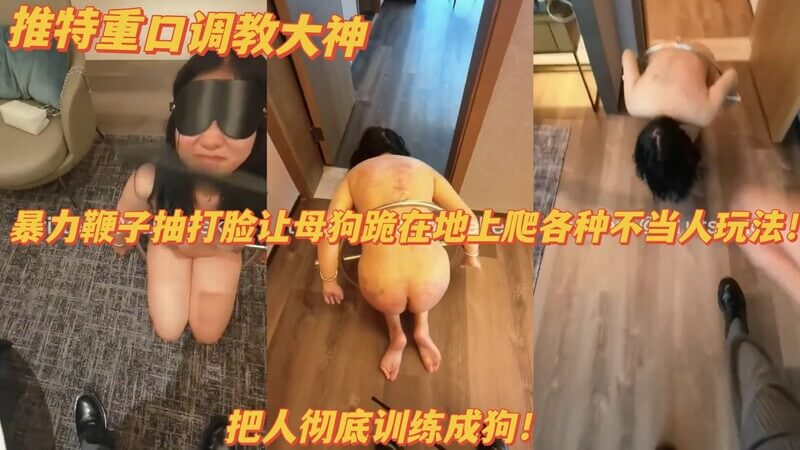 鞭子暴力扇脸扇奶子 跪地爬行，各种暴力调教，不当人玩法