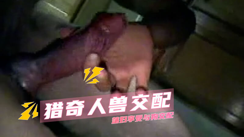 荡妇享受与狗交配带来的极致快感，她沉浸在动物本能的狂野中无法自拔