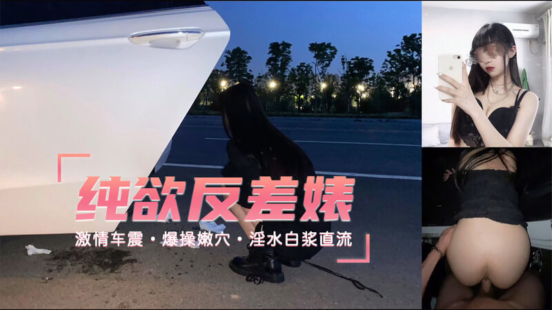 约操纯欲反差婊激情车震 爆操嫩穴淫水白浆直流