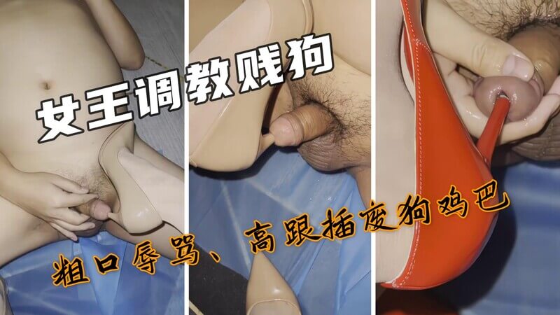 女王调教废物狗高跟鞋踩踏马眼 虐打鸡巴的贱狗！