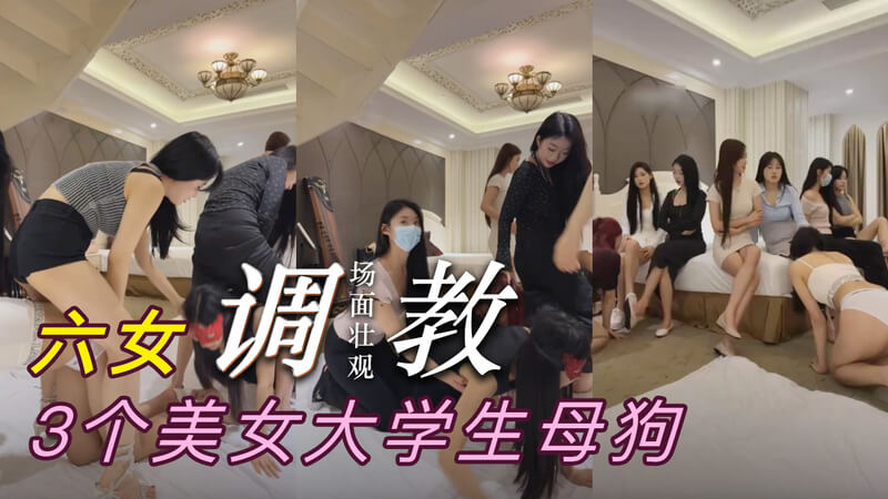 六女主调教宴，缚缚大学少女母狗。缤纷妖娆似盘丝洞，群芳竞艳献痴情。