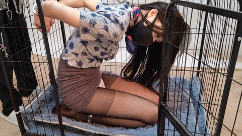 性感空姐的丝袜诱惑,鸟笼捆绑之美