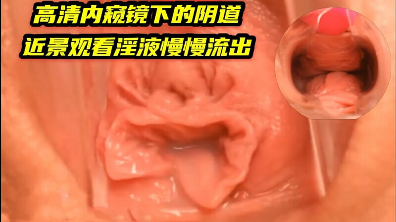 高清内窥镜下的极品粉穴阴道，近景观看淫液慢慢流出