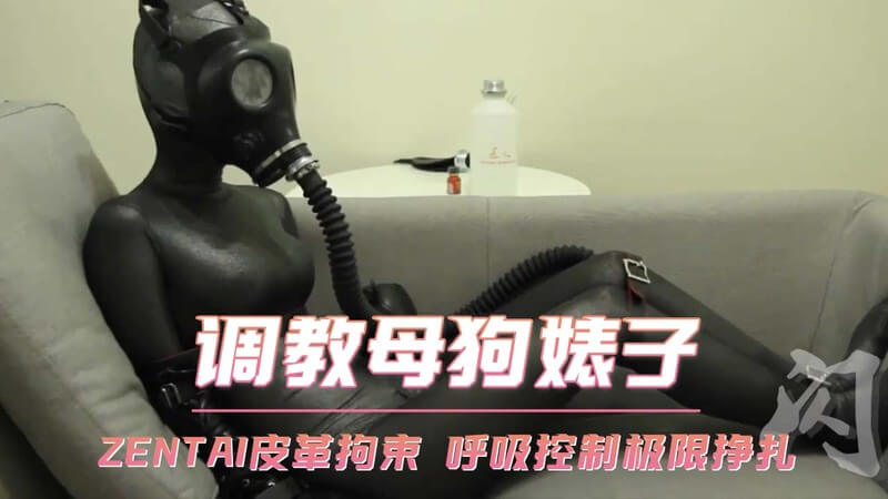 调教母狗婊子：ZENTAI皮革拘束呼吸控制，极限挣扎的SM乐趣