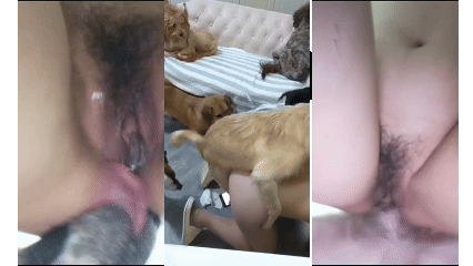 猎奇之群犬狂欢，人肉盛宴的极致诱惑
