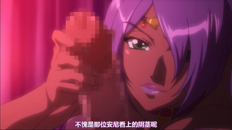 NTR作品老婆们都被搞成肉便器了