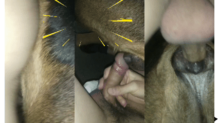 探索交配的极致快感