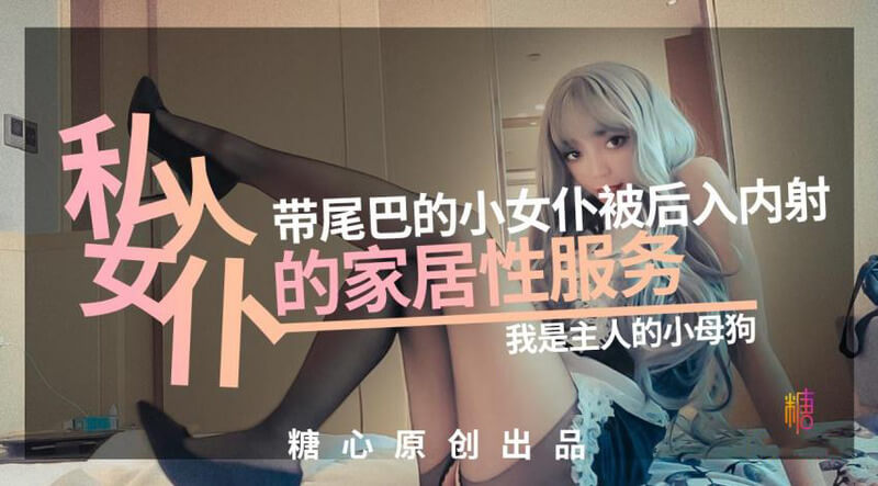 糖心Vlog 私人女仆居家性服务 我是主人的专属小母狗