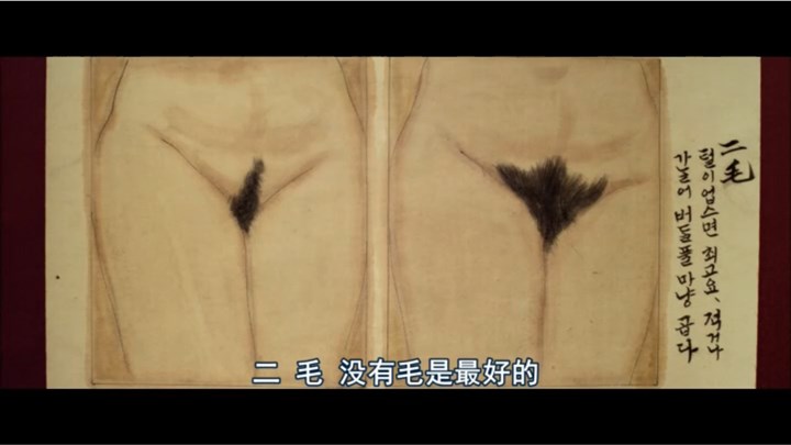 韩国三级片奸臣精华片段，12月带你领略韩国三级片的魅力