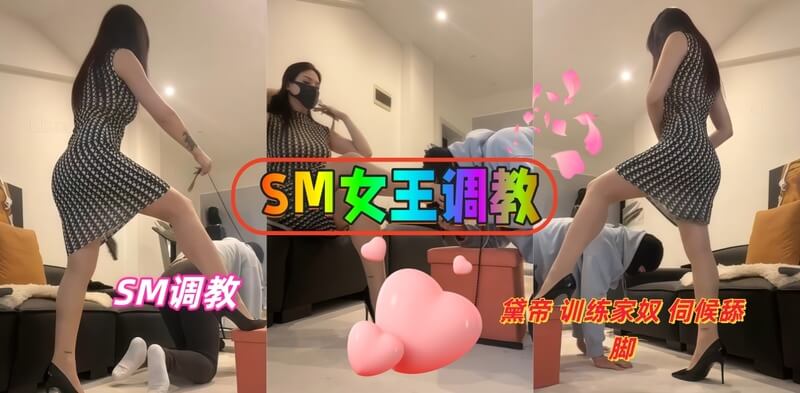 大长腿御姐黛帝,各种道具训练家奴