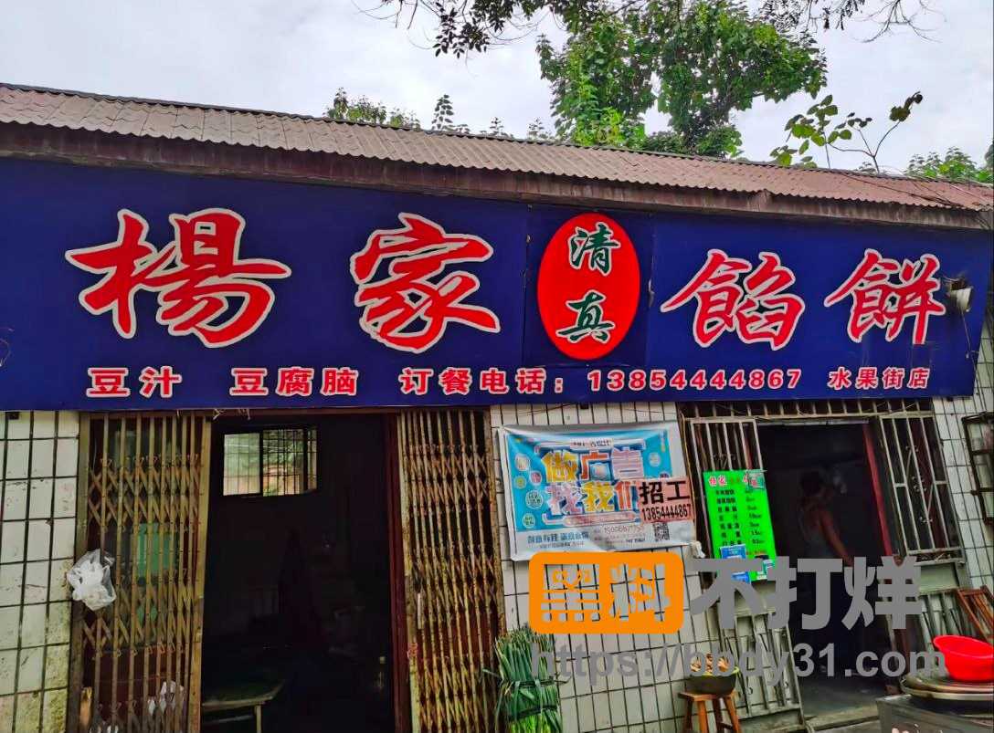 杨家馅饼老板娘辛能能2
