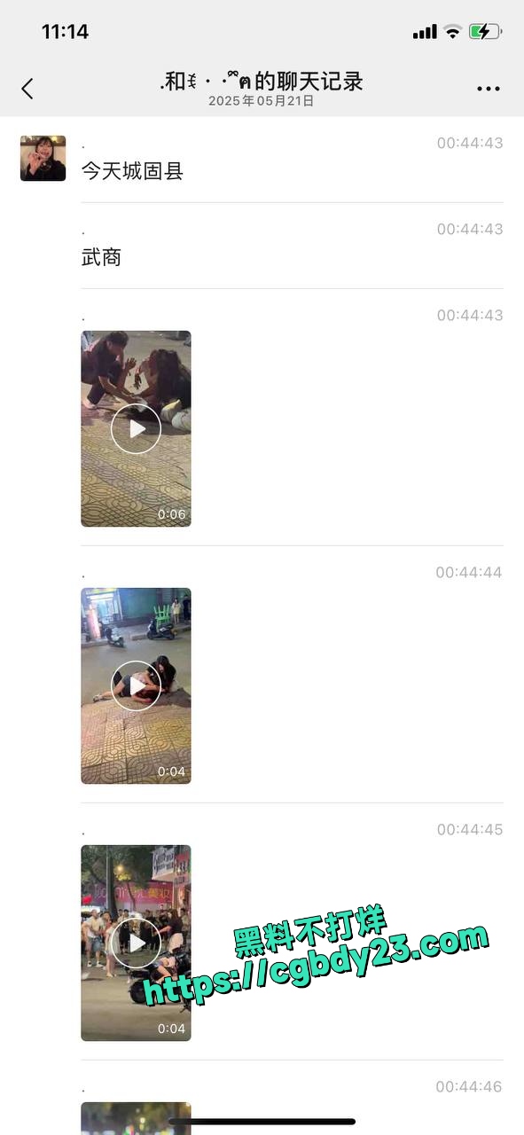 固城为情所困砍人事件1