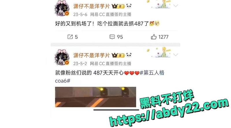 潇潇劈腿电竞冠军487 11