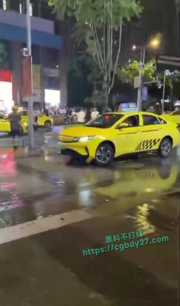 重庆出租车撞人事件 8