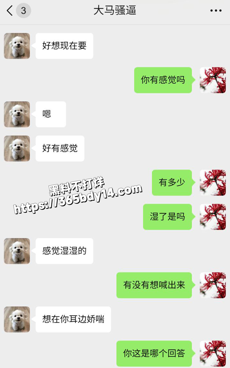 网调马来西亚小妞3