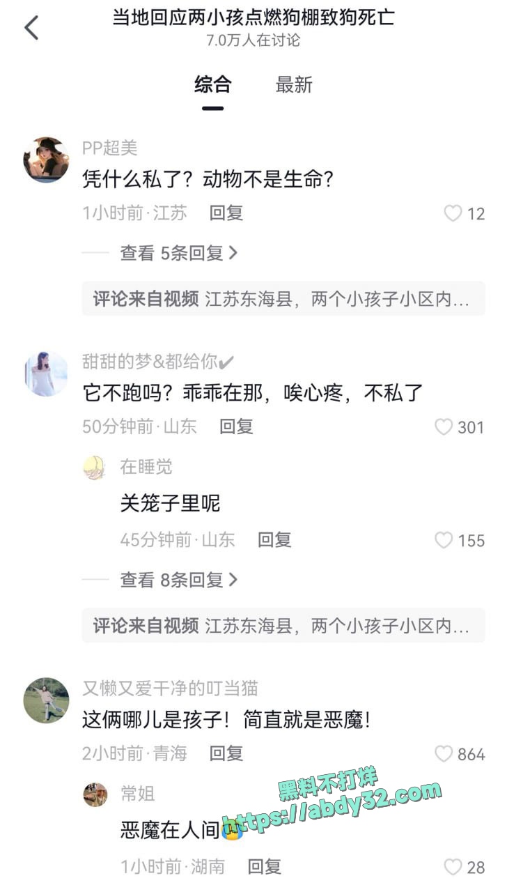 连云港两男孩烧死笼中萨摩耶  7