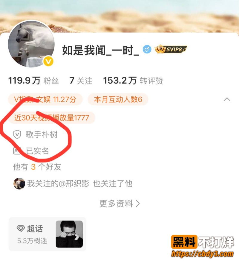 歌手朴树出轨演员王子文09