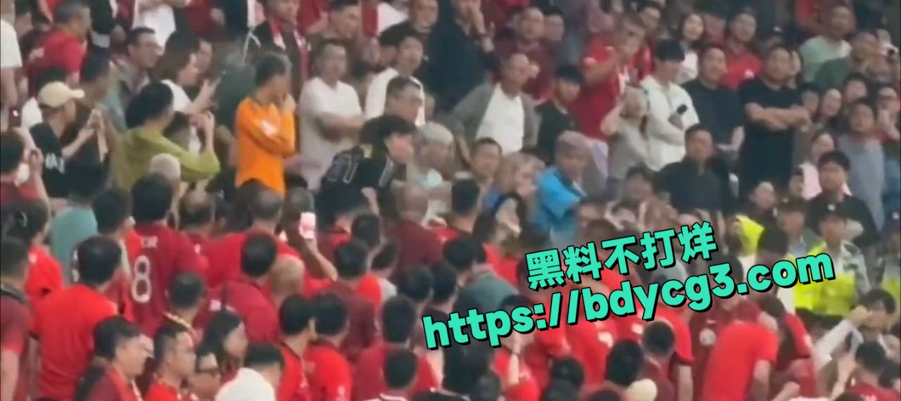 落单申花球迷被海港球迷围殴 3