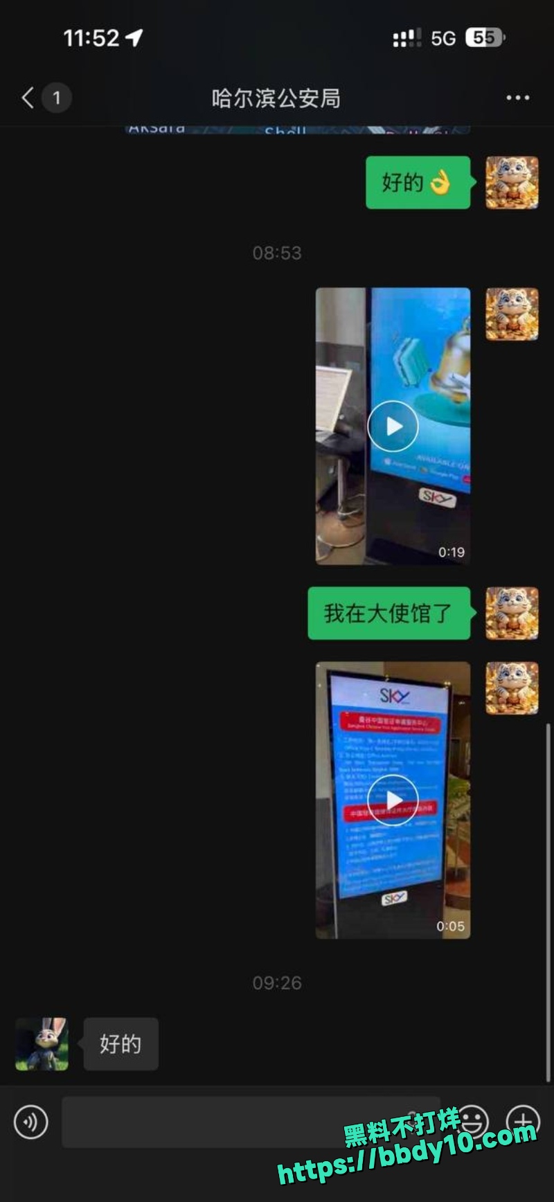 杨磊 29