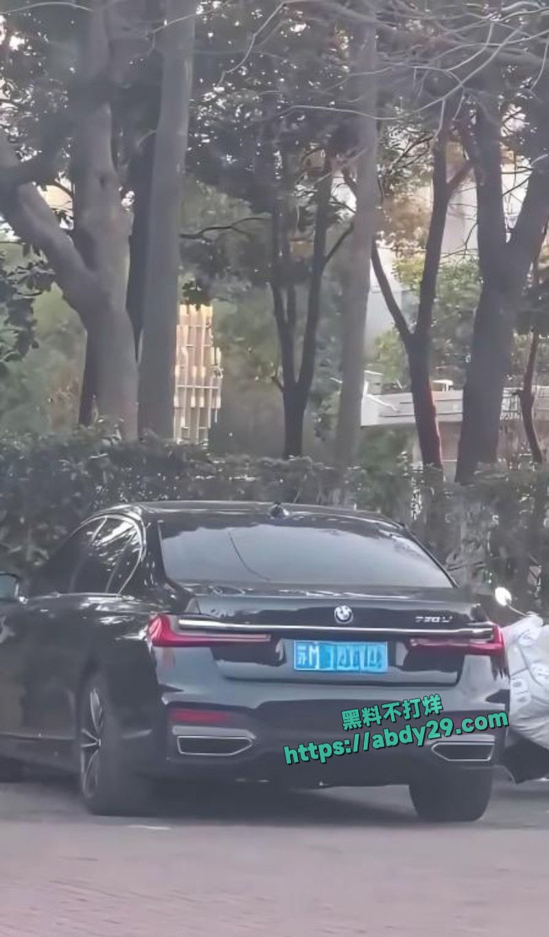 有钱人嫖娼直接玩车震1