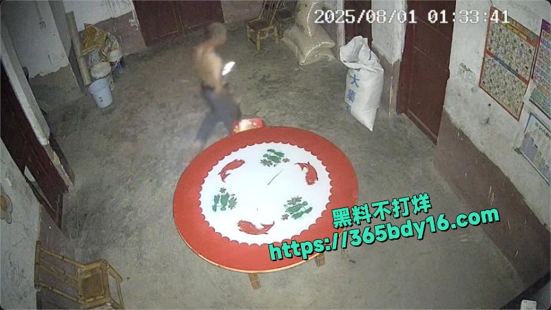 监控拍下母亲偷情视频5
