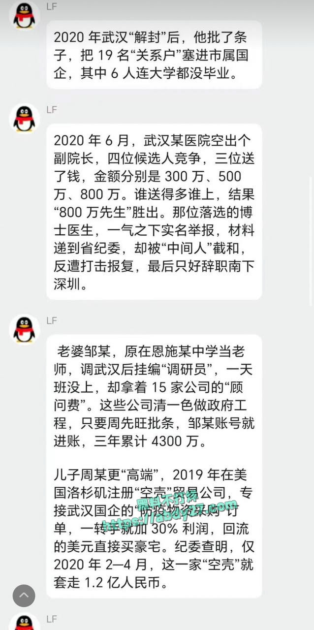 武汉市前市长周先旺落马 3