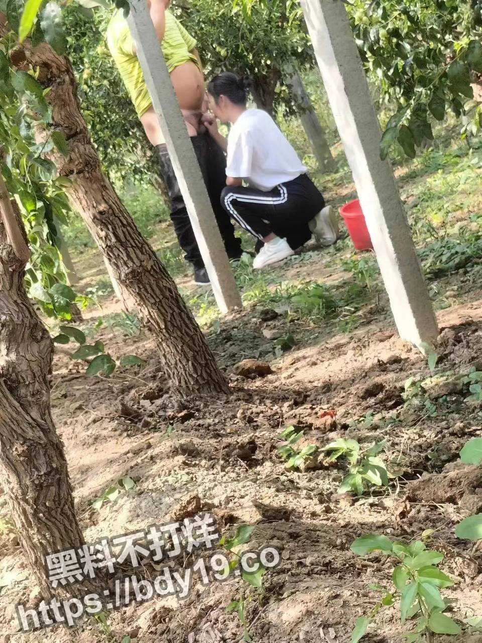 山东省卖冬枣女老板李淑红.jpg