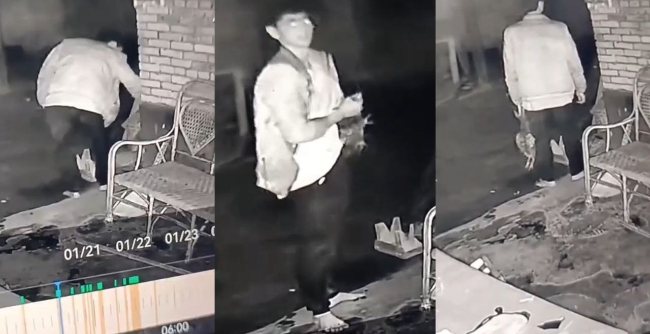 灵异事件！陕西某地一男子连续偷鸡喝鸡血 疑似鬼上身 摄像头记录下男子怪异行为