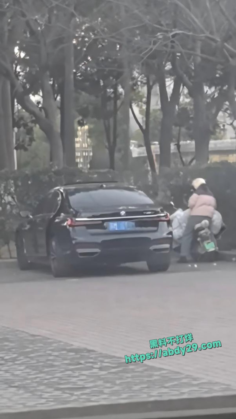 有钱人嫖娼直接玩车震5